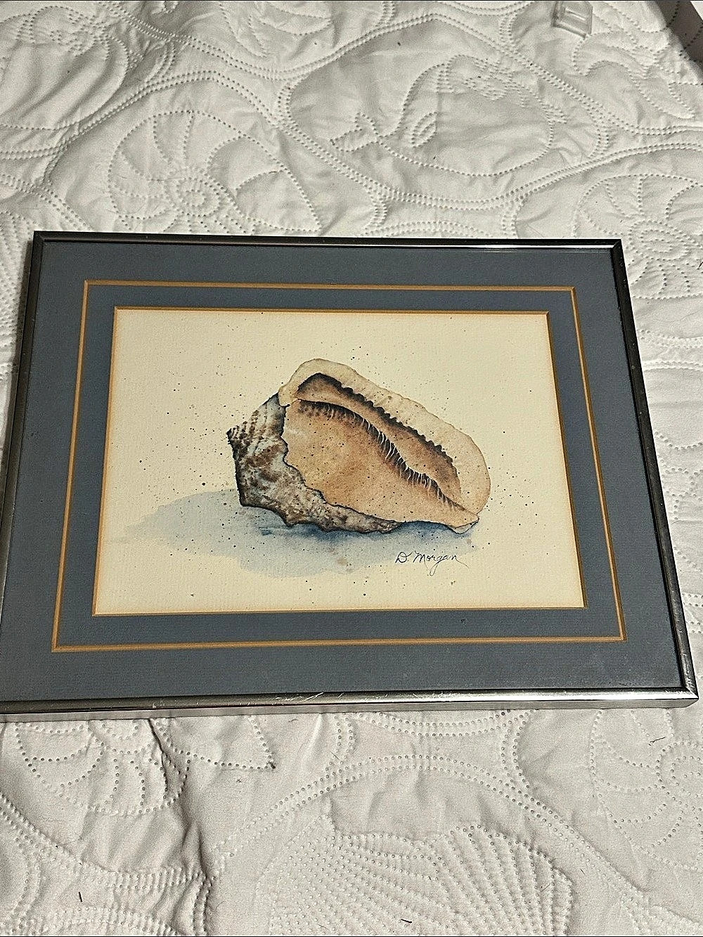 D. Morgan Conch Seashell Watercolor Print Brown & Gray